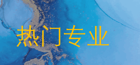 热门专业.png